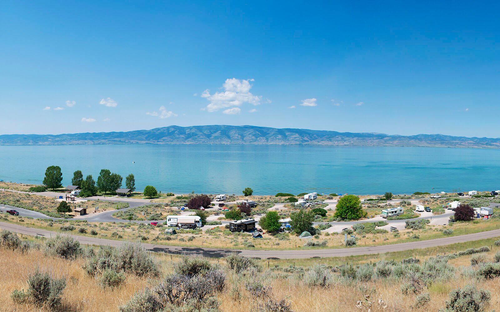 Bear Lake Watch announces 2024 Virtual Eurasian Milfoil Symposium